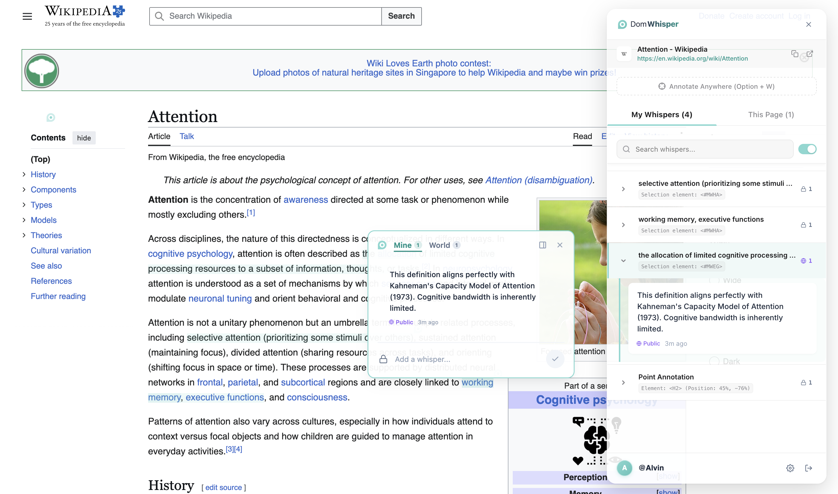 DomWhisper Chrome Extension Showcase